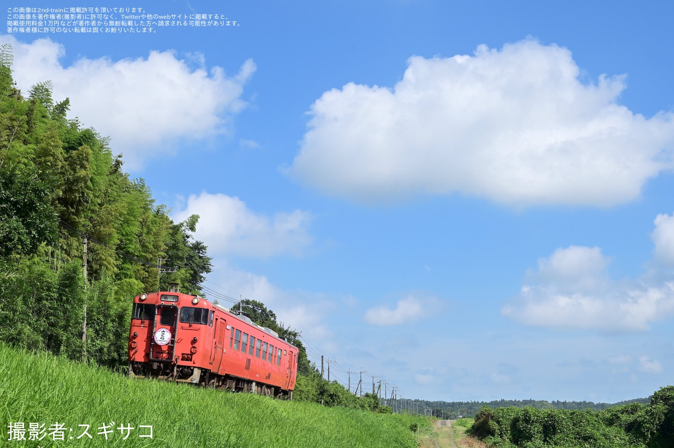 【小湊】キハ40形観光急行「ブルートレイン」ヘッドマークを取り付けて運行の拡大写真