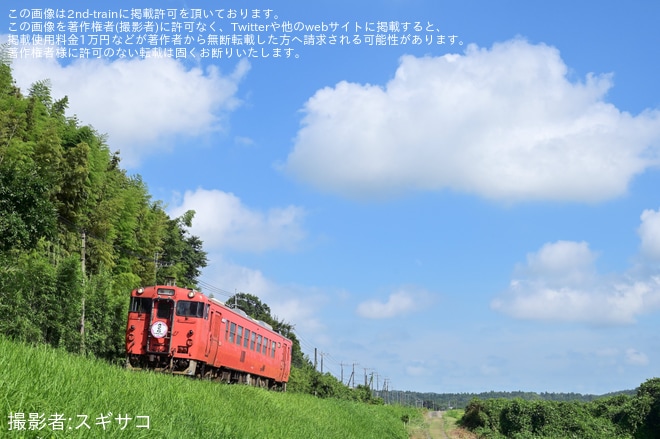 【小湊】キハ40形観光急行「ブルートレイン」ヘッドマークを取り付けて運行を不明で撮影した写真