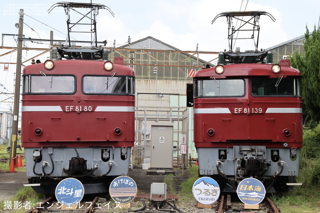 【JR東】EF81機関車見学会が開催(202508)の拡大写真