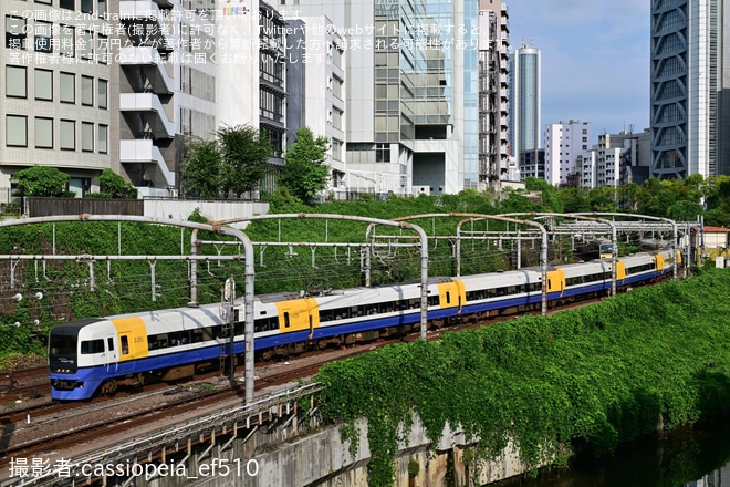 【JR東】255系使用 臨時特急「新宿わかしお」を運行(2025年8月)
