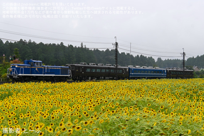 【東武】「夜行列車で行く会津への特別ツアー復路は昼間の運行」を催行を大谷向～大桑間で撮影した写真