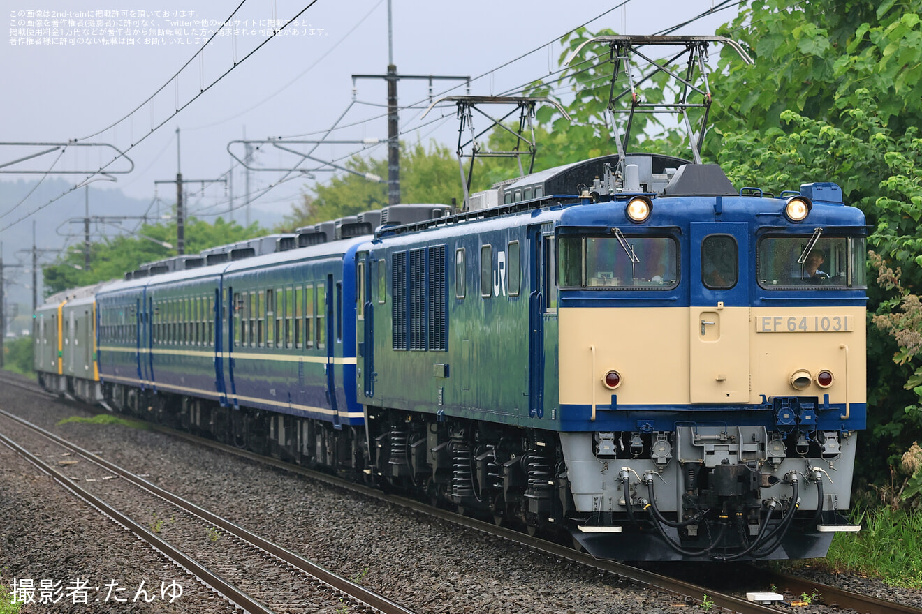【JR東】快速「SL・GVぐんま横川」がEF64-1031牽引で運転の拡大写真