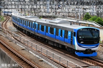 by海豹