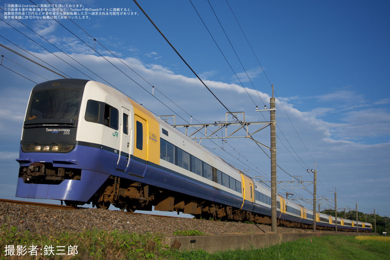 【JR東】255系使用 臨時特急「新宿わかしお」を運行(2025年8月)の拡大写真
