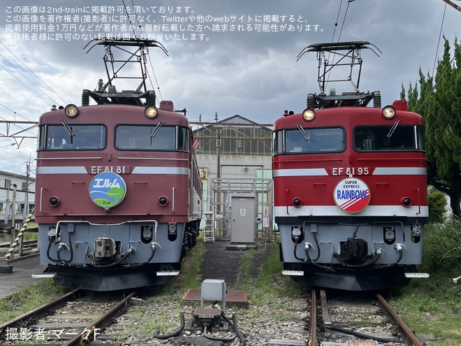 【JR東】上野(旧田端)統括センター「EF81機関車見学会(ヘッドマーク付き・ヘッドマーク持込可能)」開催を上野(旧田端)統括センターで撮影した写真
