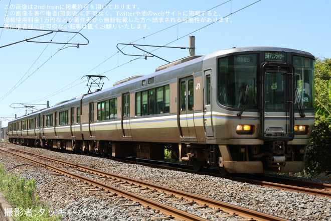 八十場～坂出間で撮影された【JR四】快速マリンライナーと鳥との接触により4両や2両のマリンライナーが運転