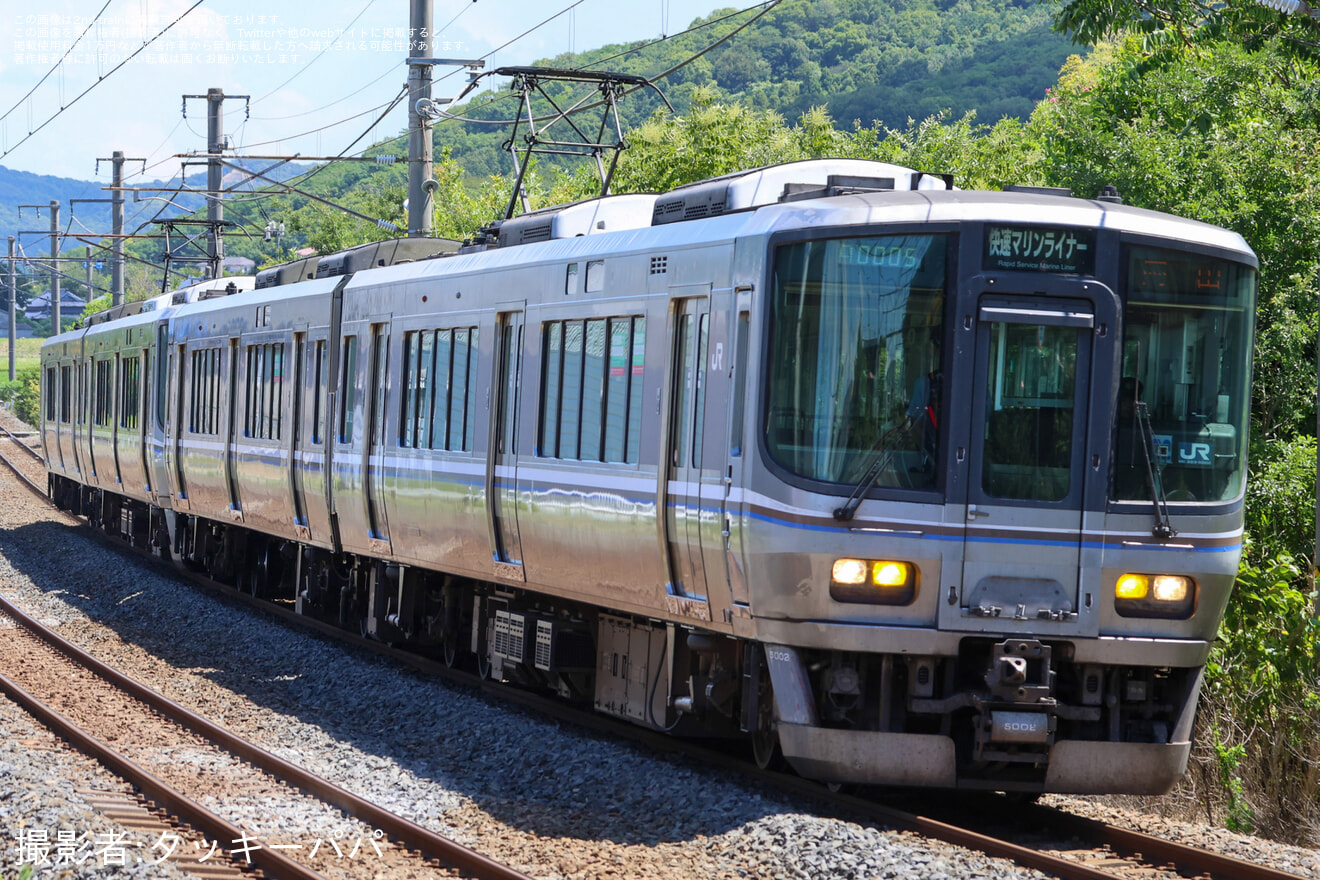 【JR四】快速マリンライナーと鳥との接触により4両や2両のマリンライナーが運転の拡大写真