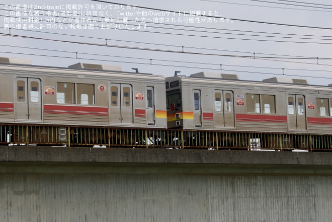 【東急】元東急9000系9011F+9003Fが八王子から甲種輸送を梶ヶ谷タ～府中本町間で撮影した写真