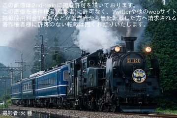 by火 種
