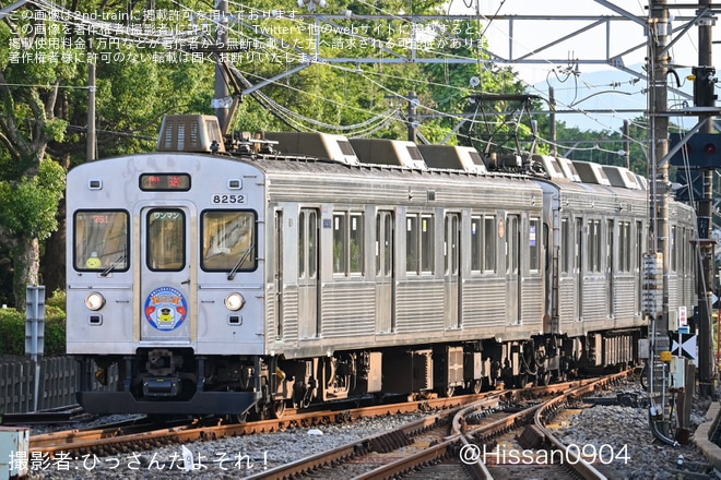 【伊豆急】東急でんき＆ガスによる貸切列車『伊豆の金目鯛を楽しむ旅』が運転を不明で撮影した写真