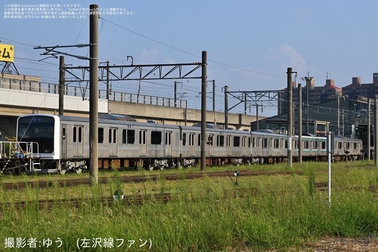 ブルートレイン 5両編成 ブルートレインの波 もう一度(N): Pの小屋Blog日記