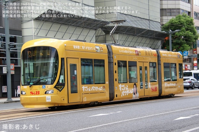 【広電】1000形1005号がエスビー食品の全面ラッピングにを立町～八丁堀間で撮影した写真