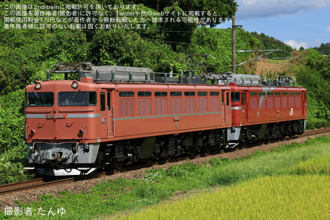 【JR東】EF81-81牽引でEF81-80が東北本線方面へ回送