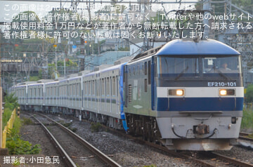 byロイヤルブレット