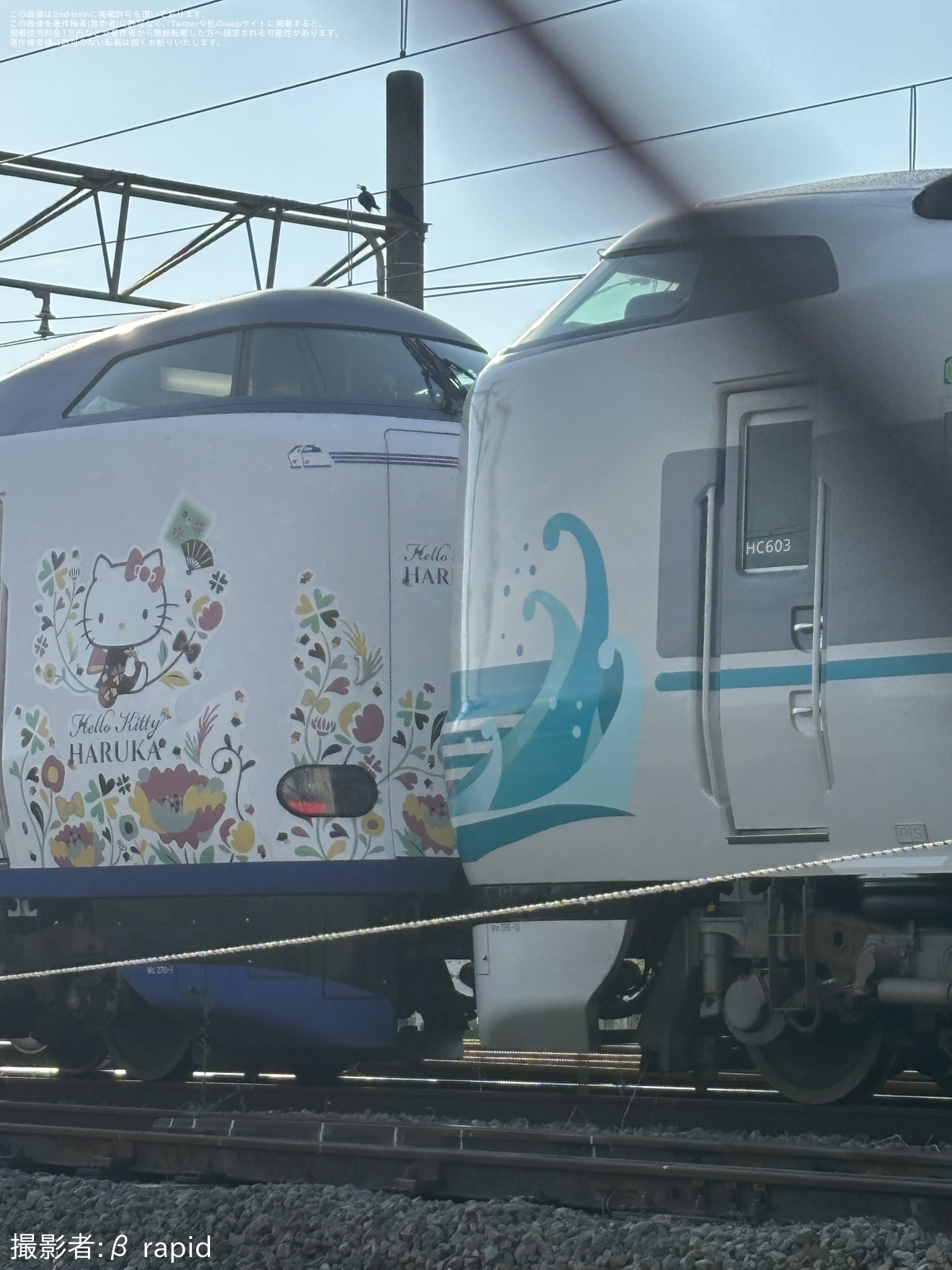 【JR西】287系HC603編成へ「特急くろしお60周年記念ラッピング」が確認の拡大写真