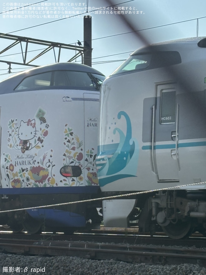 【JR西】287系HC603編成へ「特急くろしお60周年記念ラッピング」が確認を不明で撮影した写真