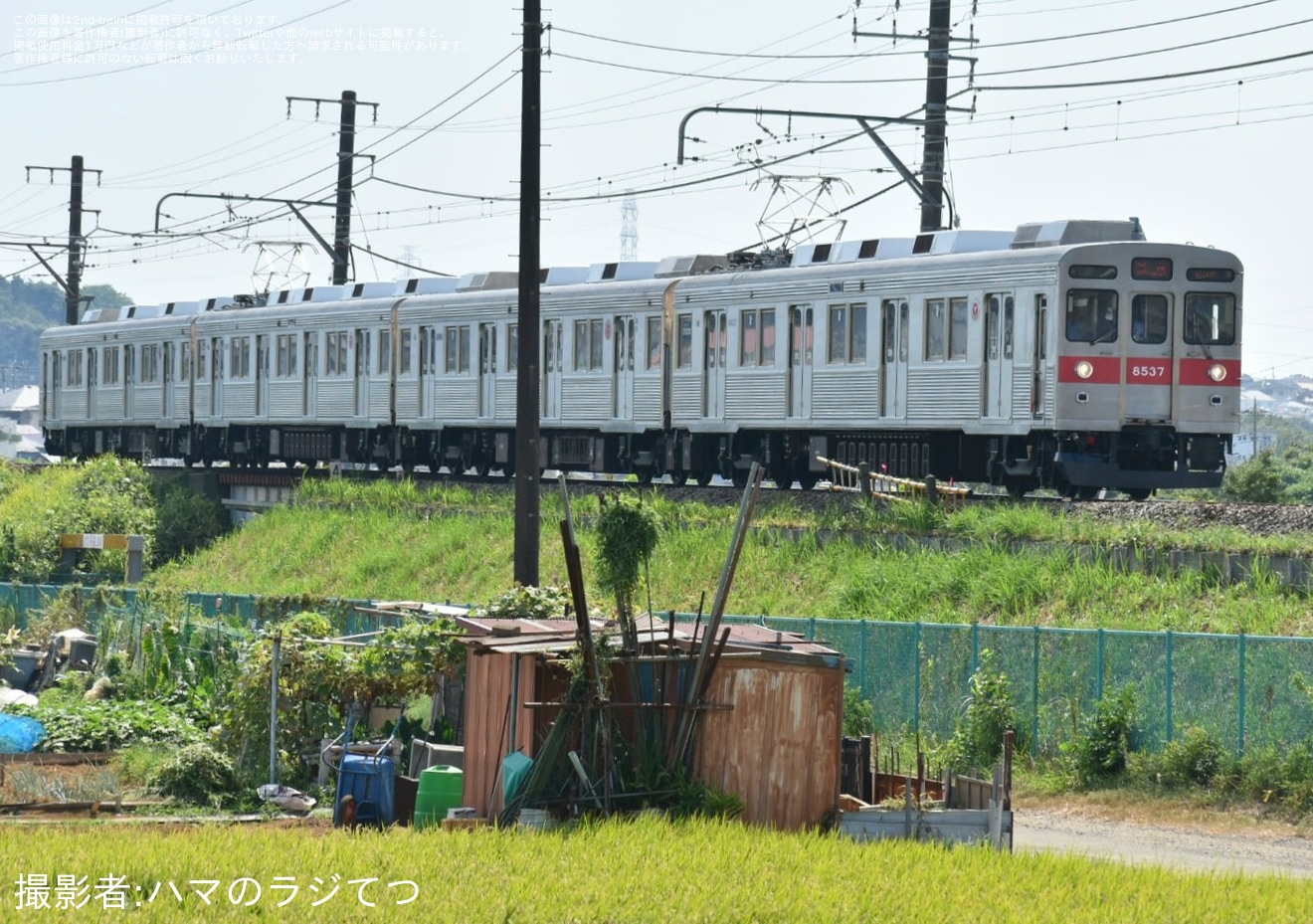 【東急】8500系8637Fがこどもの国線にて試運転の拡大写真