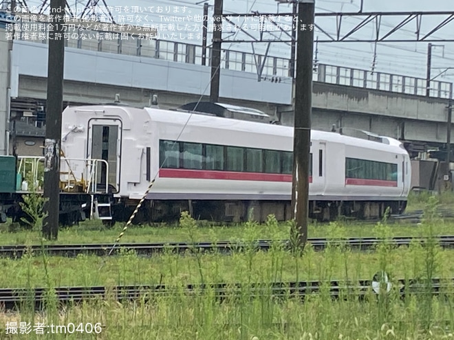 【JR東】E657系K17編成がグリーンレイク色から通常塗装に戻される