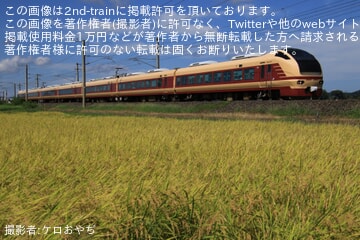 【JR東】臨時特急「夏の海浜公園青梅号」を運行(202509)