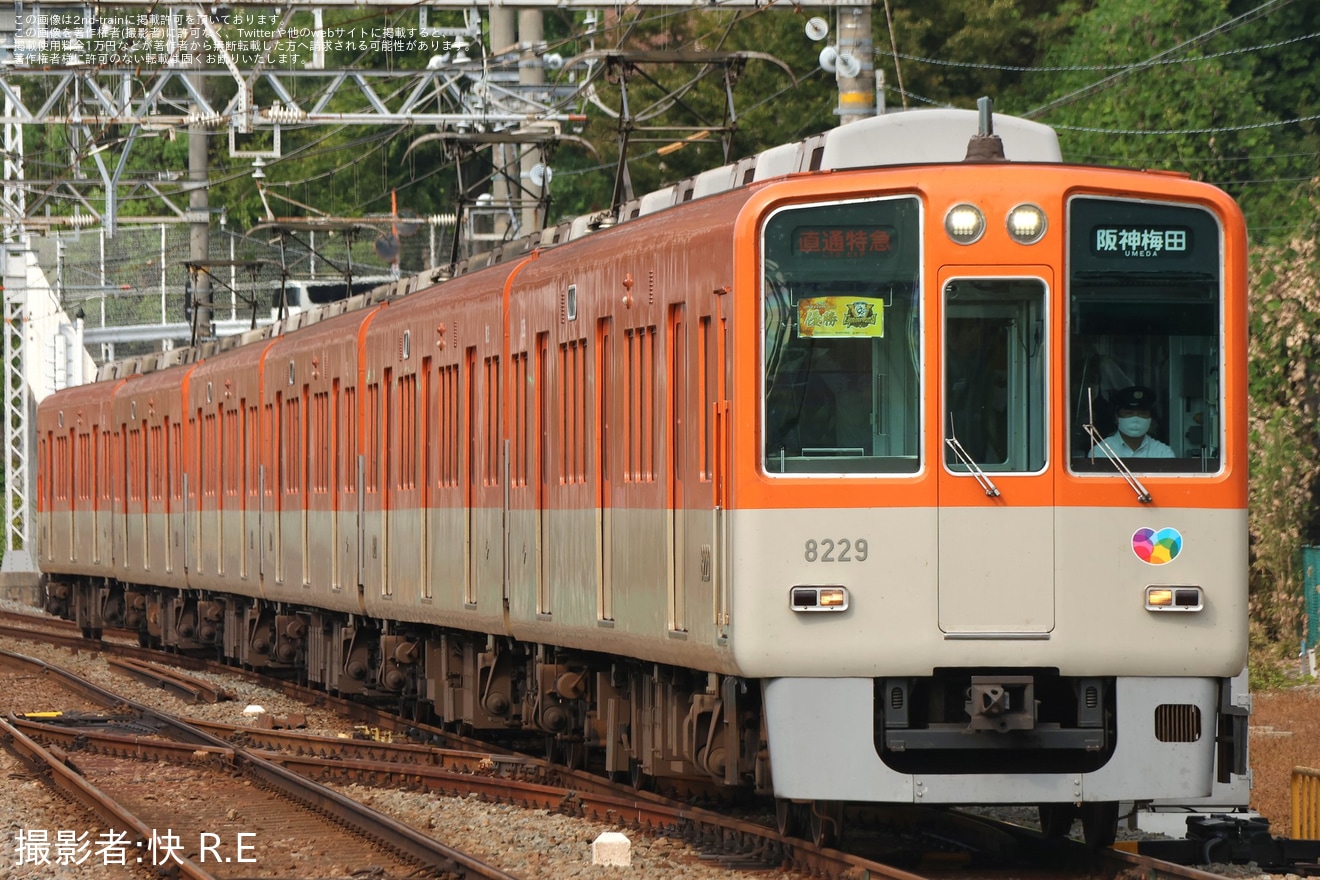 【阪神】「JERA セントラル・リーグ 2025」 優勝記念の副標取り付けの拡大写真