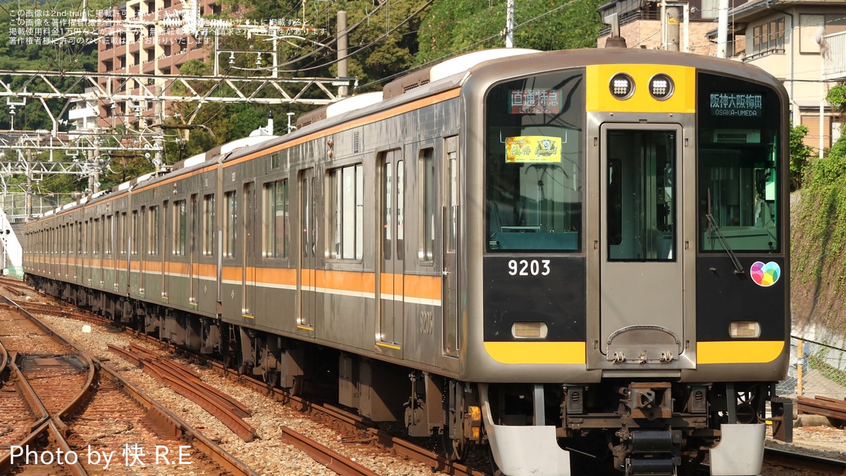 阪神タイガース JERA セントラル・リーグ2025優勝記念 副標 d823ef9773edd03ea43d3f5ea63ce4