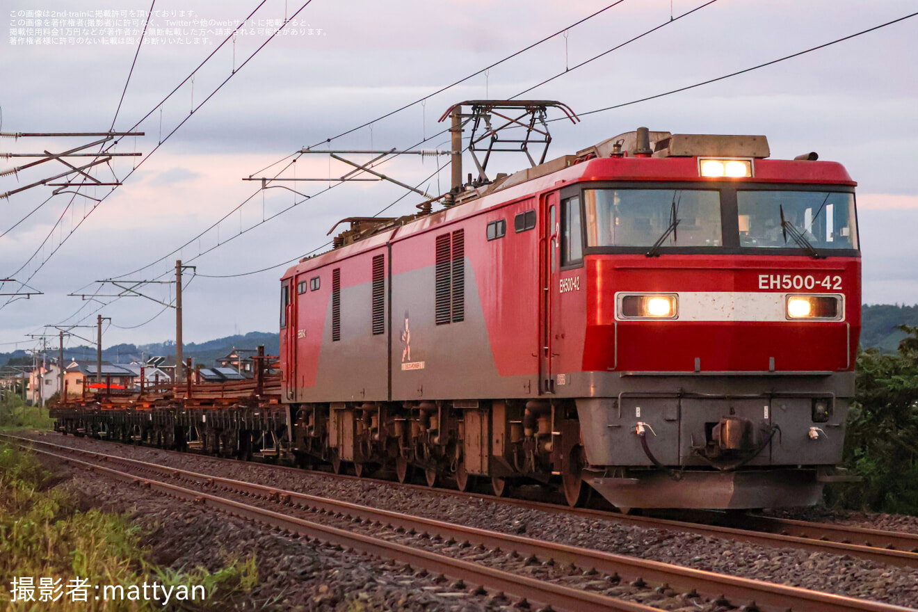 【JR東】EH500-42牽引 東北支社レール輸送列車の拡大写真