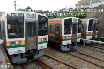 byとーふ