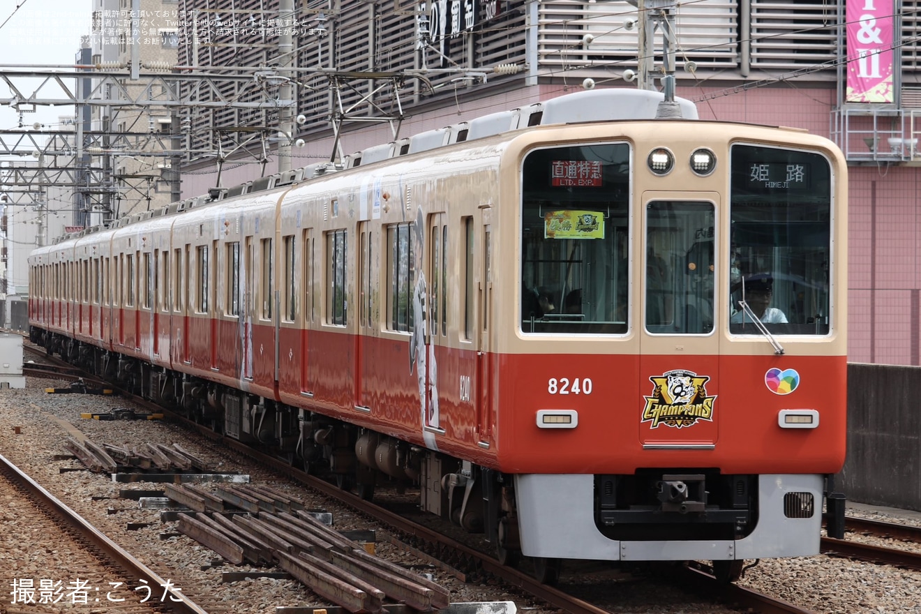 【阪神】8000系「阪神タイガース セ・リーグ2025優勝記念ラッピングトレイン」運行開始の拡大写真