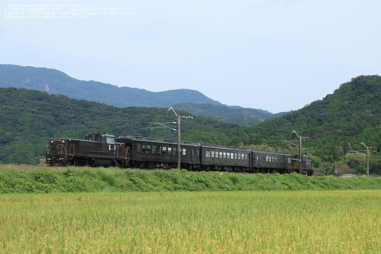 【JR九】DE10-1206+50系+DE10-1209の編成で、日豊本線秘境号が運転の拡大写真
