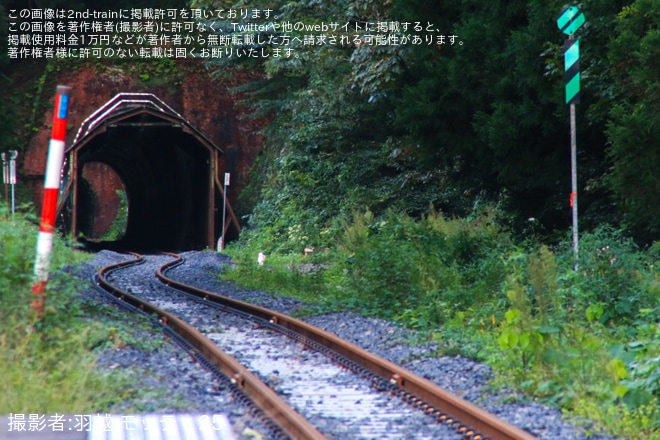 【JR東】陸羽西線高屋駅の撤去されていた線路が復元を高屋駅付近で撮影した写真