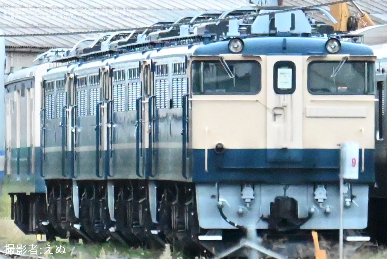 【JR東】EF65が4機連結されている様子が目撃の拡大写真