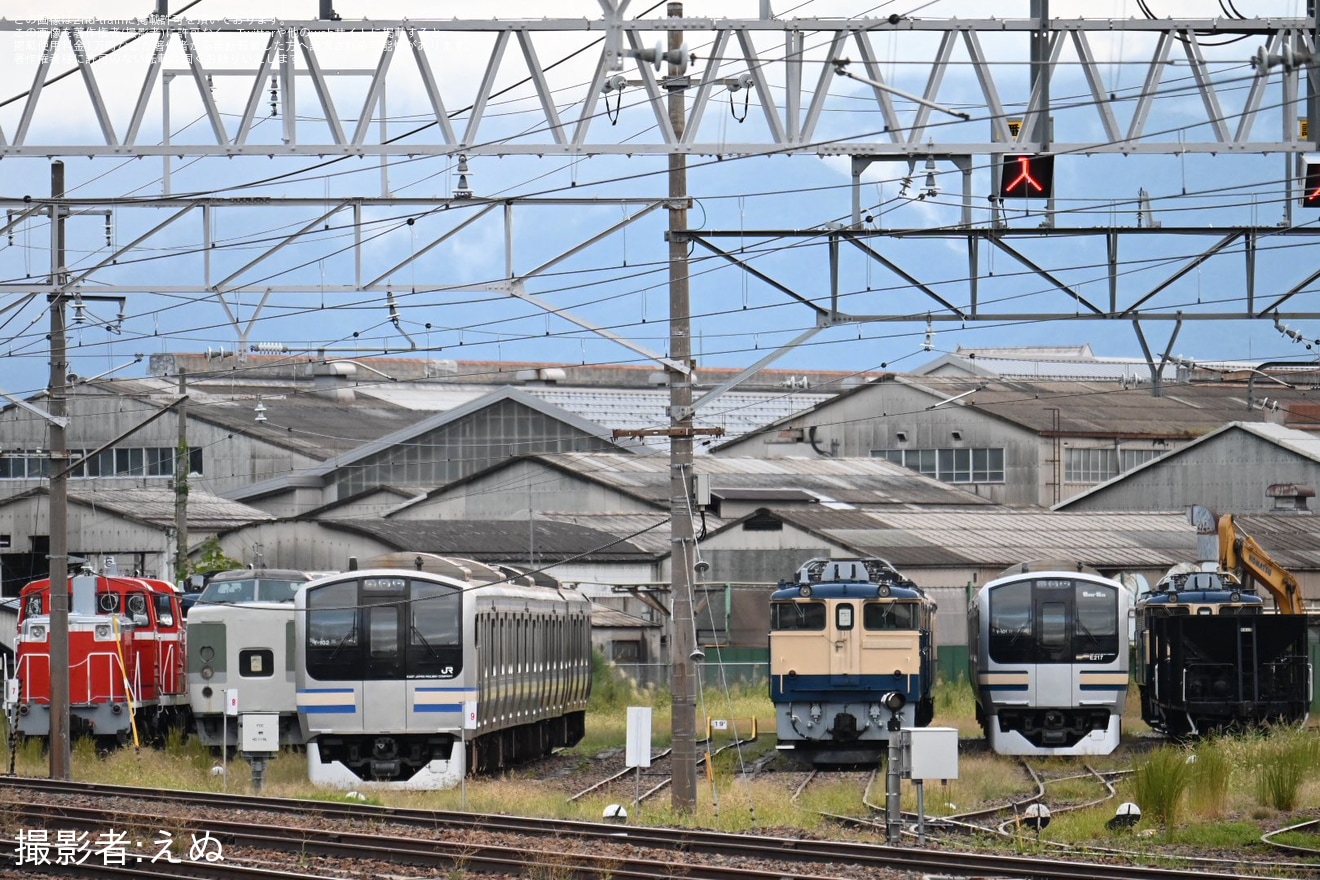 【JR東】EF65が4機連結されている様子が目撃の拡大写真