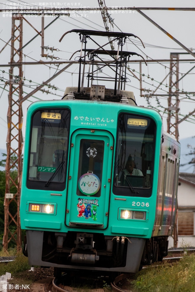 【南海】「YOASOBIワンダラ号」ラッピング開始を不明で撮影した写真