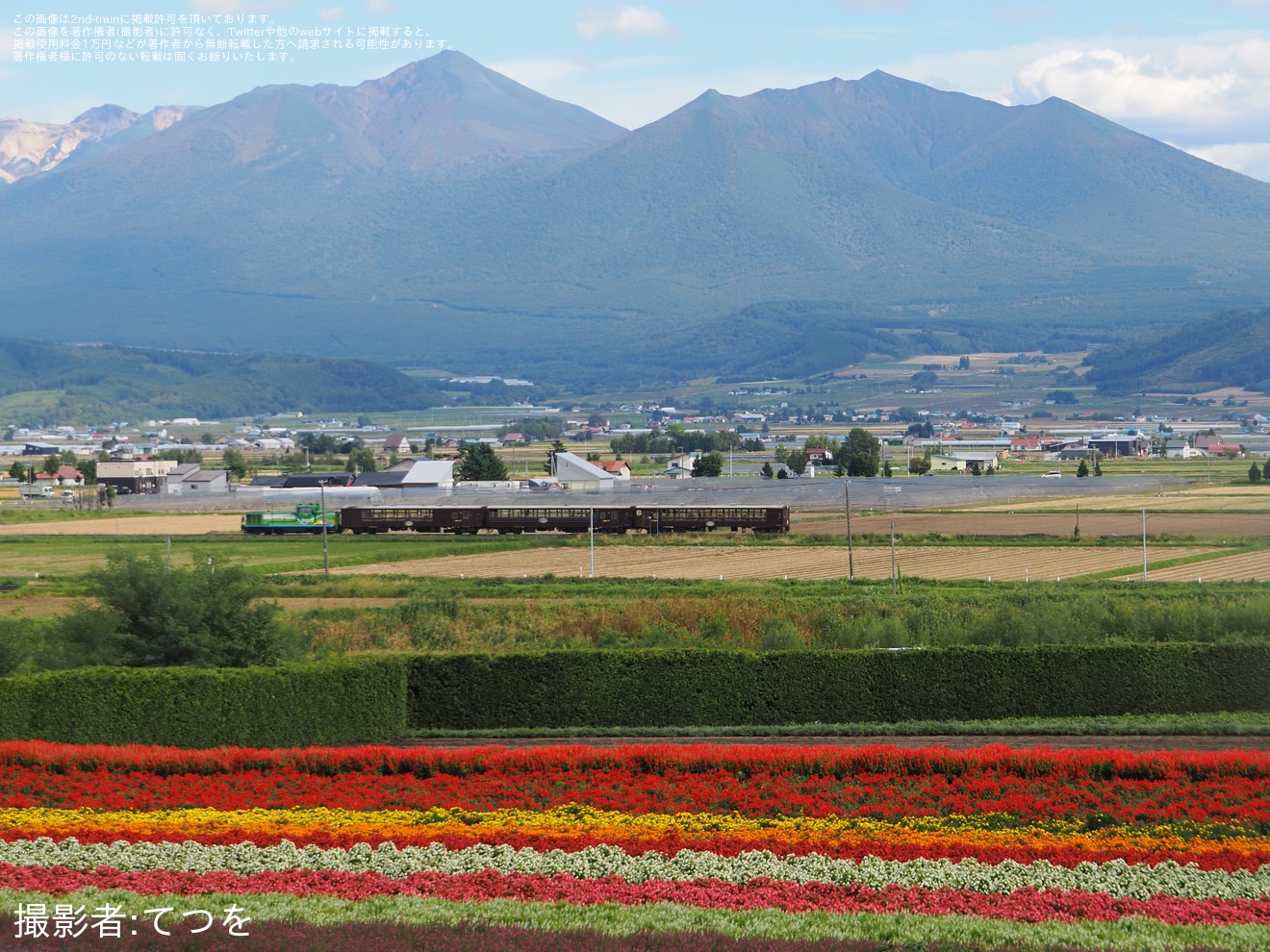 【JR北】2025年度の富良野・美瑛ノロッコ号の運行終了の拡大写真