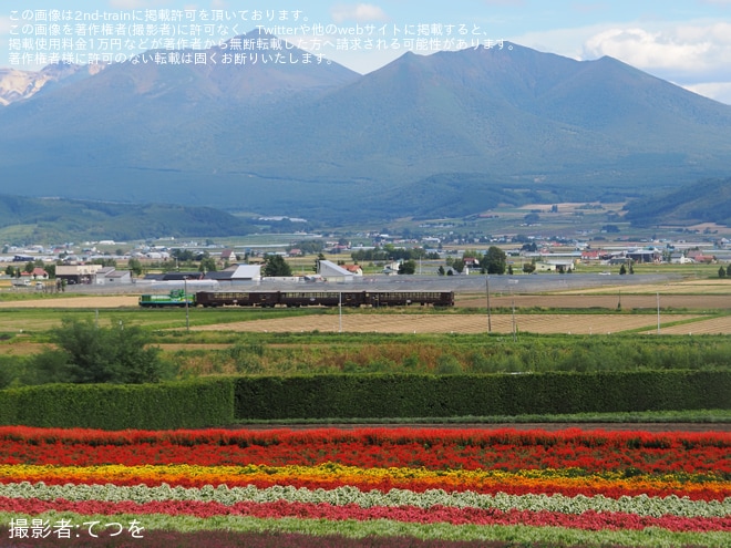 西中～ラベンダー畑間で撮影された【JR北】2025年度の富良野・美瑛ノロッコ号の運行終了