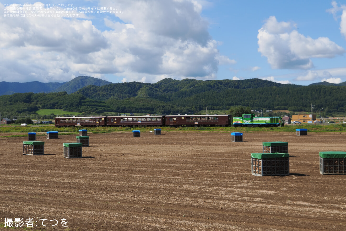 【JR北】2025年度の富良野・美瑛ノロッコ号の運行終了の拡大写真