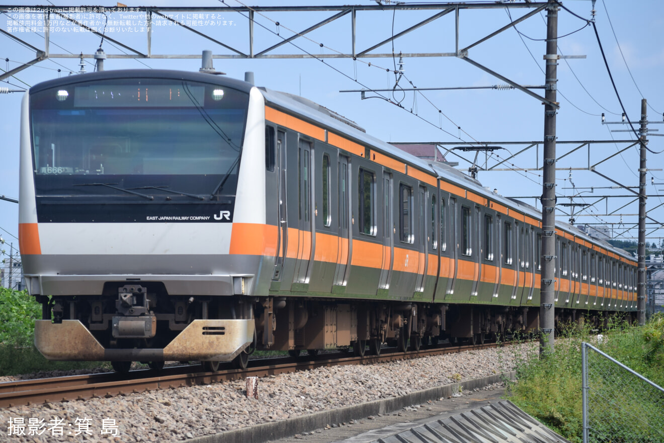 万年青「御国の光」 miniature-japanese-garden-