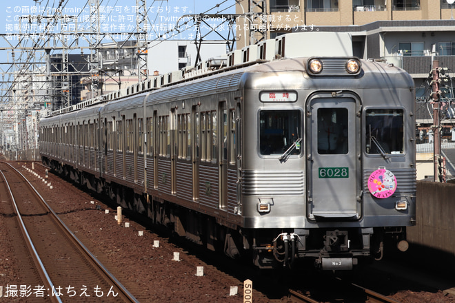 天下茶屋駅で撮影された【南海】企画列車「グレーターミナミTRAIN　あまもん列車」運行