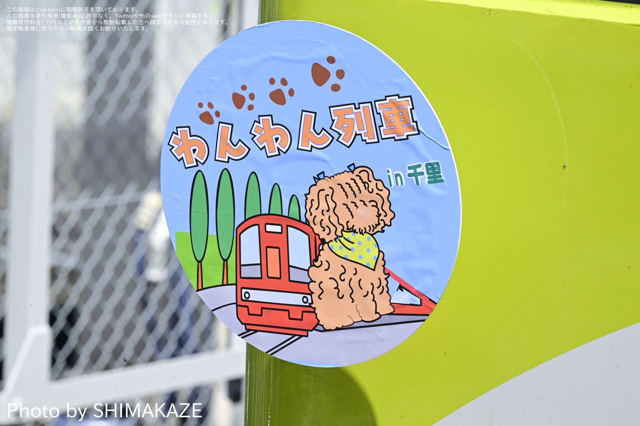 【近鉄】「観光列車『つどい』で行く わんわん列車」ツアーの拡大写真