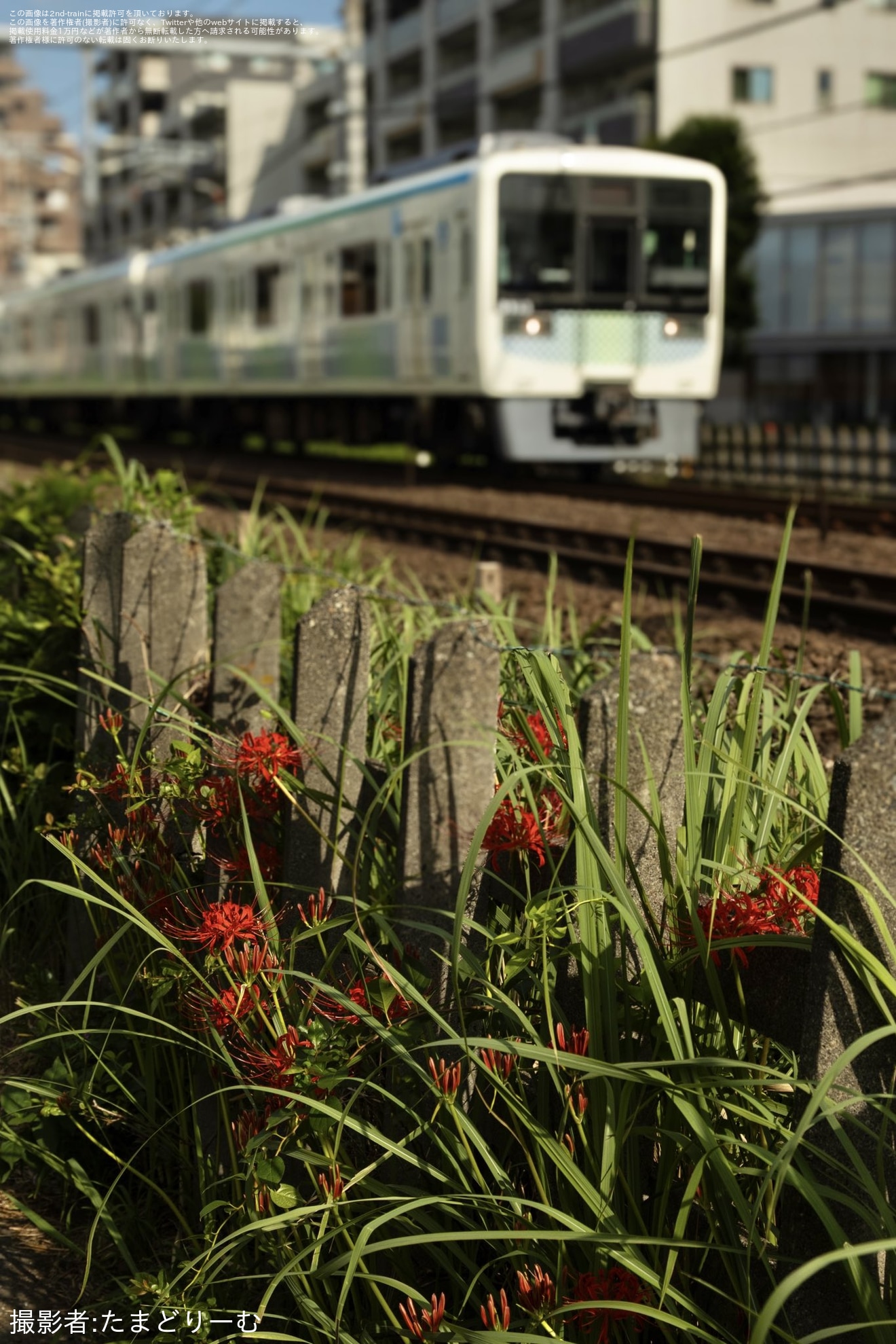【西武】体験型イベント「サステナフェスタ」開催・サステナ車両乗車体験も実施の拡大写真