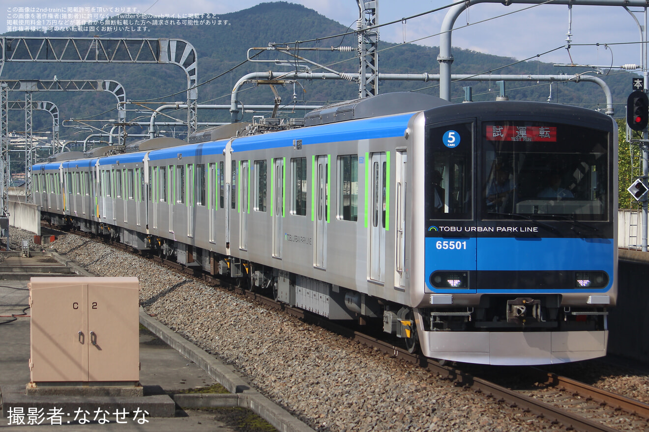 T*N様 ②ブルーの探索【sR 企画 1/2】 2025年最新】ブルーの探索 sr タッグオールスターズの人気