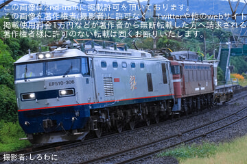 byしろわに