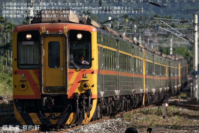 【台鉄】DR3100形を使用した臨時列車が運転