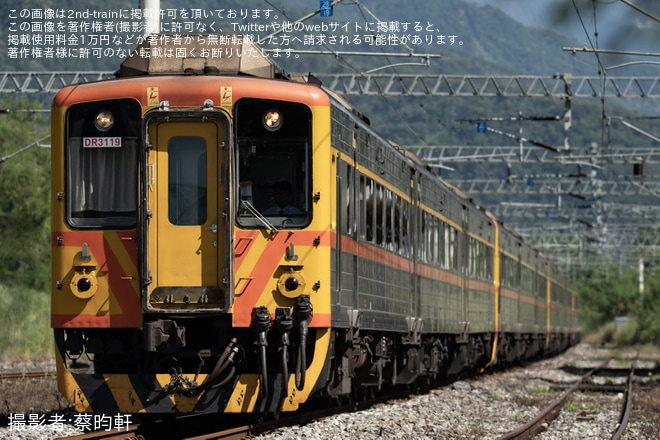 【台鉄】DR3100形を使用した臨時列車が運転