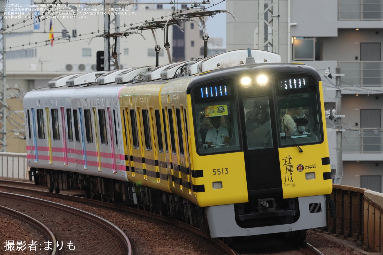 【阪神】阪神タイガース優勝記念 武庫川線車両「タイガース号」+「トラッキー号」4両編成で本線運行の拡大写真