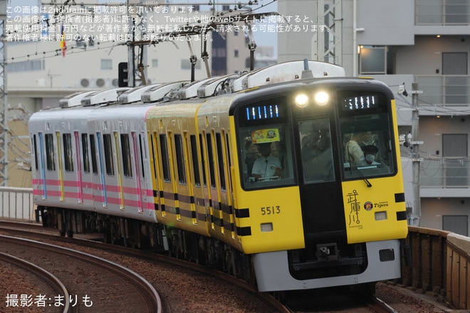 【阪神】阪神タイガース優勝記念 武庫川線車両「タイガース号」+「トラッキー号」4両編成で本線運行を不明で撮影した写真