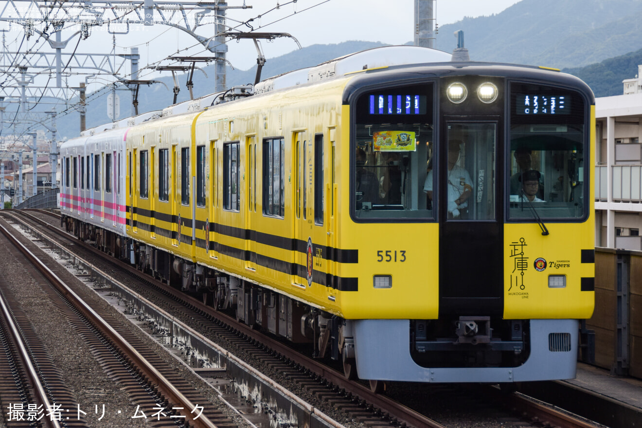 【阪神】阪神タイガース優勝記念 武庫川線車両「タイガース号」+「トラッキー号」4両編成で本線運行の拡大写真