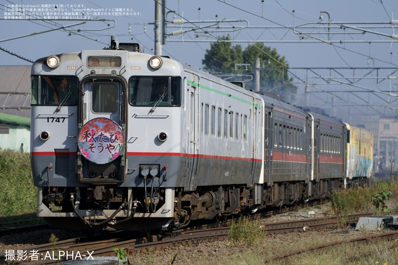 【JR北】臨時急行「秋たび そうや号」を運行の拡大写真
