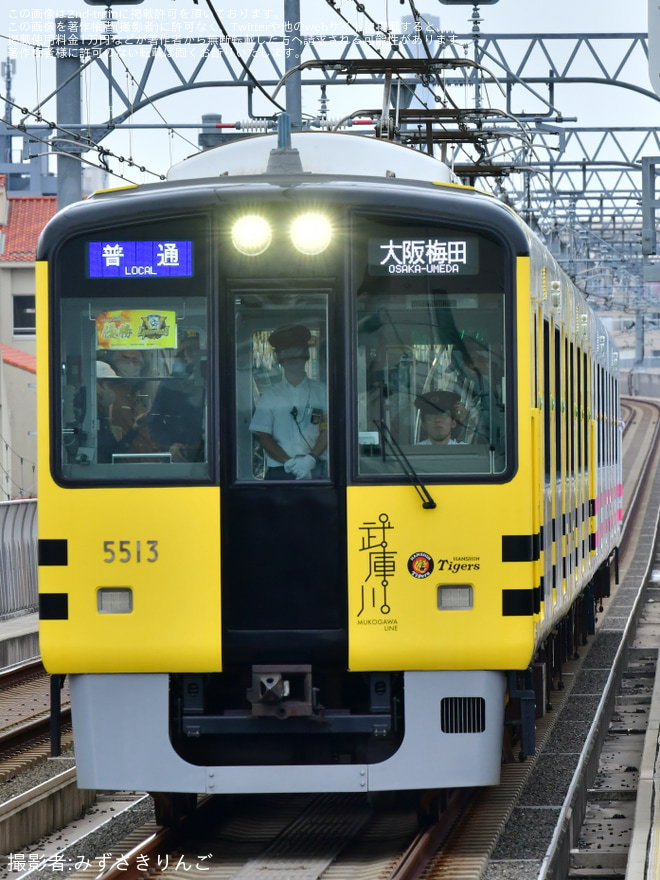 【阪神】阪神タイガース優勝記念 武庫川線車両「タイガース号」+「トラッキー号」4両編成で本線運行を深江駅で撮影した写真