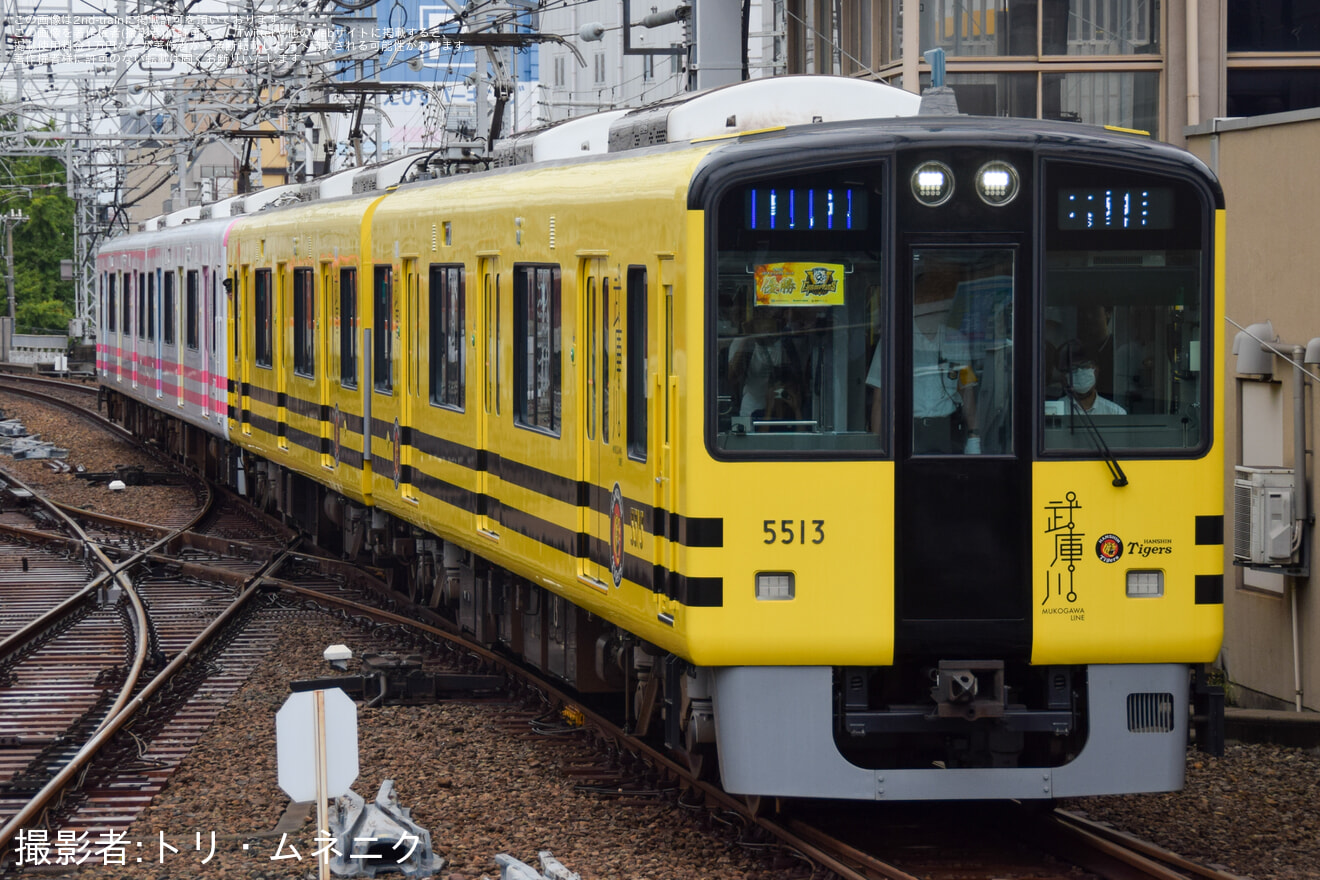 【阪神】阪神タイガース優勝記念 武庫川線車両「タイガース号」+「トラッキー号」4両編成で本線運行の拡大写真